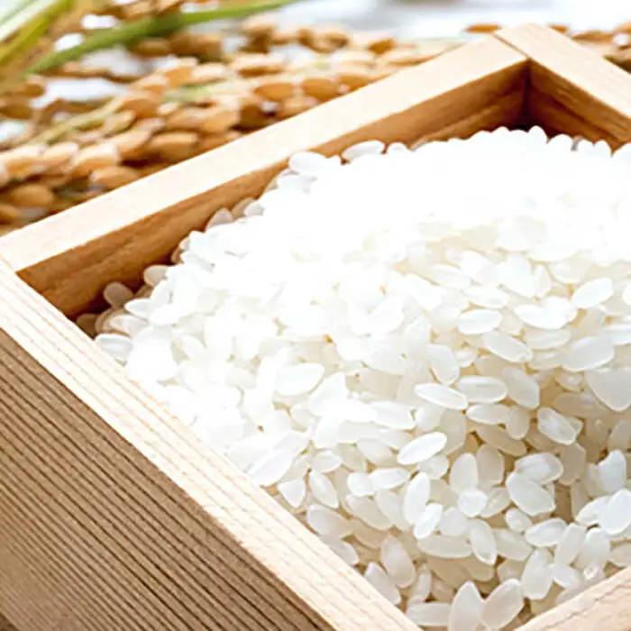 (令和7年産)【6回定期便】長崎県認定特別栽培米ひのひかり5kg / 米 こめ コメ おこめ お米 白米 精米 ひのひかり ヒノヒカリ kome 長崎県産 / 諫早市 / 宮下農園   [AHCG02