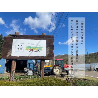 ふるさと納税 津別町 【R7年早期受付】湧水栽培 ナツやさいのパプリカ 12玉〜15玉セット ピンクの八百屋〜ナツやさい |  | 03