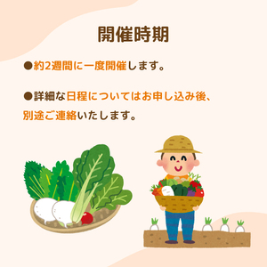 年間を通した野菜作り「土の学校」（1組5名まで） 〈 学び 食育 収穫 農業 野菜 子供 親子 農作物 ふるさと納税 柏 〉
