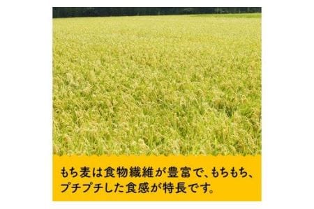 令和8年産 もち麦500g×5袋 【 ふるさと納税 国産 麦 もち麦 食物繊維 数量限定 宮崎県産 川南町産 送料無料 】