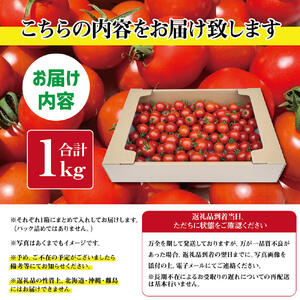 トマト魂！峯本の贅沢フルティカトマト（中玉サイズ）1kg 1キロ 先行予約 ミディトマト フルーツトマト トマト ふるさと納税 フルティカ とまと サラダ 野菜 美味しい 甘い【R01031】