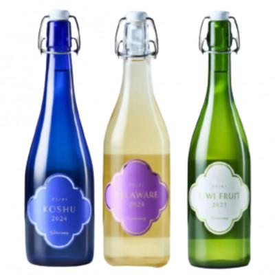 ふるさと納税 甲州市 フジクレール クラノオト 甲州辛口・デラウェア・キウイフルーツ 計3本セット　C-1676