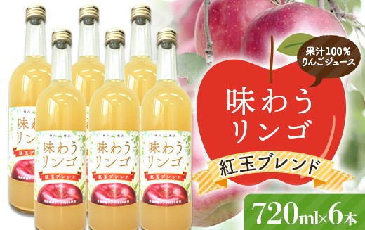 
                  味わうりんご 紅玉ブレンド 6本セット 【荒谷商店】 リンゴジュース ジュース 100% 青森りんご リンゴ 林檎 果物 くだもの 青森県 南部町 F21U-679
                
