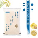 【ふるさと納税】特別栽培米　市川さんのいのちの壱　令和6年産【玄米5kg】　コメ　信州　希少　おいしい　ごはん【 米 コメ 備蓄品 仕送り おすそ分け 備蓄米 長野県 佐久市 】