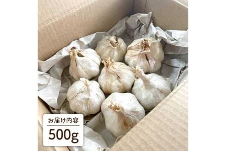 にんにく500g 大きい！美味しい！糸島からお届けする自慢のにんにくです（数量限定）《糸島》【爽風農園】【いとしまごころ】[AHZ001] 送料無料 にんにく ニンニク ガーリック 500g 数量限定
