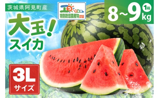 先行予約 大玉スイカ 3L サイズ 茨城県産 茨城県 阿見町 1玉 すいか 西瓜 果物 くだもの フルーツ 国産 甘い 大玉 スイカ 通販 お取り寄せ シャリ感 みずみずしい 完熟 高糖度 大きい こ