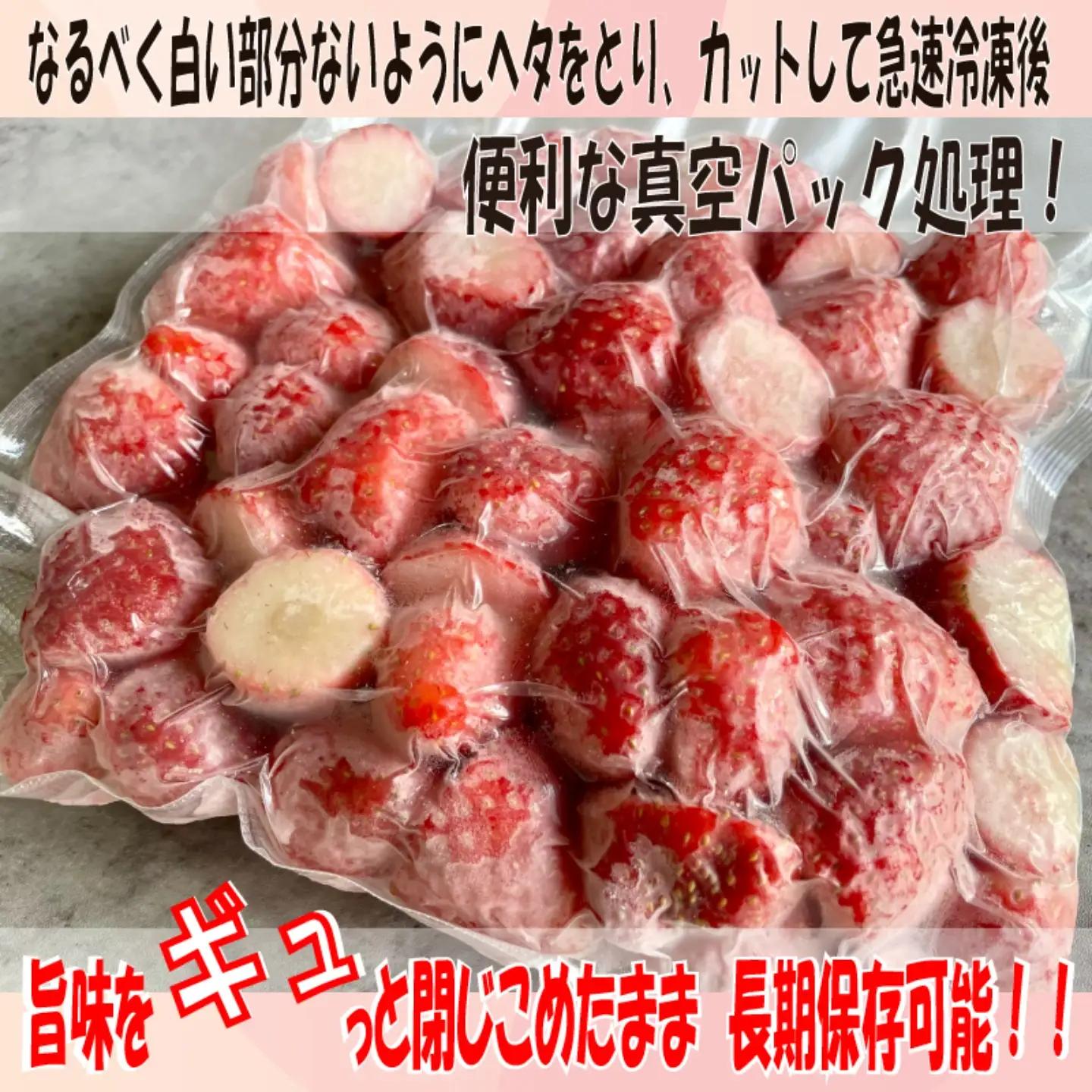 いちご 冷凍 とちおとめ 2kg いちご