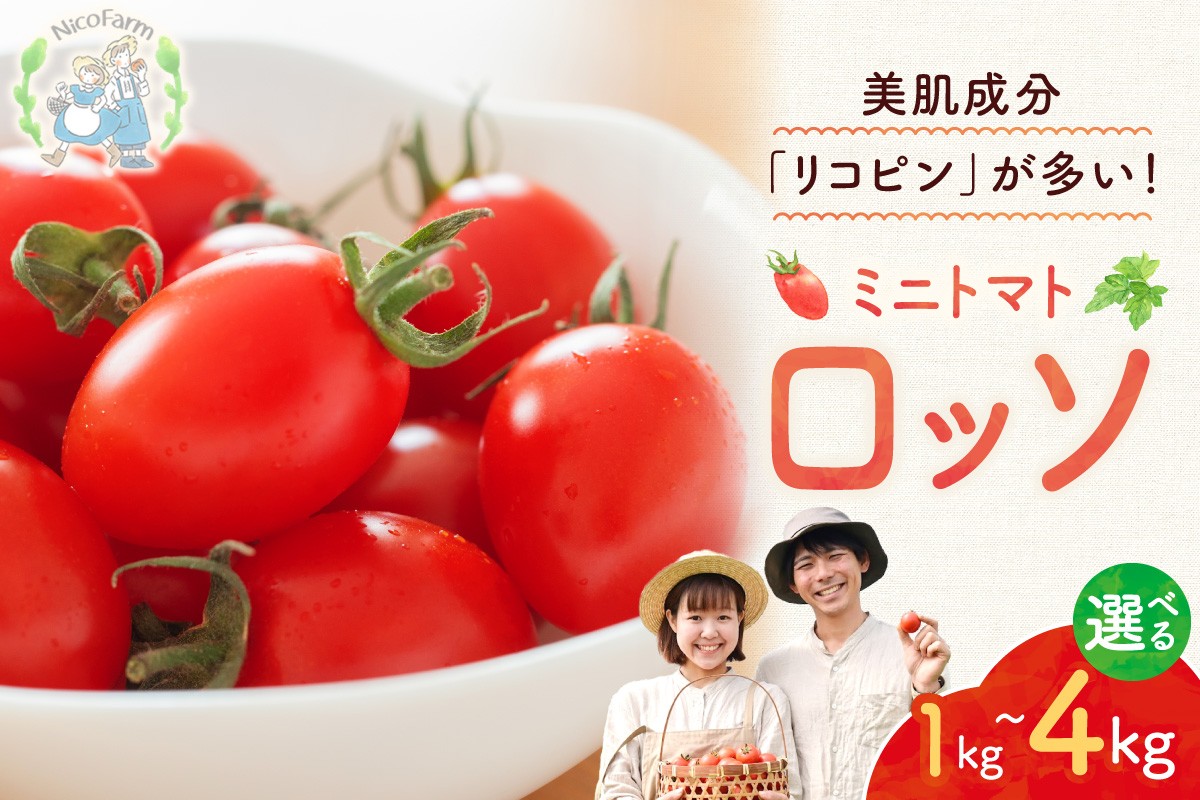 
                  【容量が選べる！】【先行予約2026年7月】おやつに最適！ 甘くてジューシー！ Nicoロッソ 4kg ヘタなしミニトマト  甘くて果肉たっぷり
                