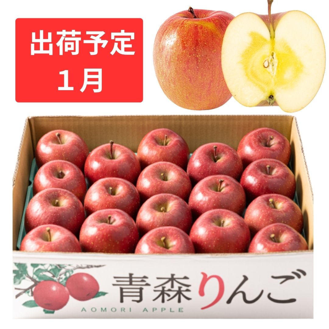 【ふるさと納税】1月 訳あり 家庭用蜜入りサンふじ 約5kg 【青森りんご・マルコウアップル】 果物類 林檎 リンゴ 　お届け：2026年1月6日～2026年1月30日