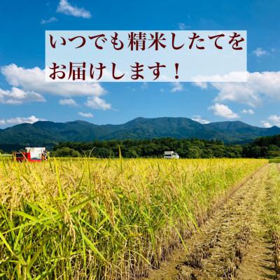 ふるさと納税 新庄市 【毎月定期便】極みのササニシキ(精米)　3kg全6回 |  | 01