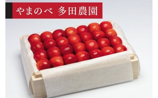 ＜先行予約＞【特選やまがた紅王】桐箱詰 約500g【やまのべ多田耕太郎のさくらんぼ 多田農園】