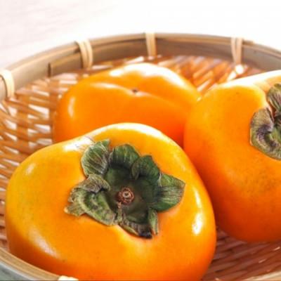 ふるさと納税 かつらぎ町 【訳あり・ご家庭用】≪先行予約 2026年10月〜発送≫和歌山のたねなし柿 約7.5kg |  | 01