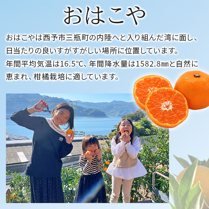 ＜おはこやがつくる 高品質みかん 約2kg（S～Lサイズ）＞ 果物 くだもの フルーツ 柑橘 みかん ミカン 蜜柑 まろやか 絶妙 特産品 西宇和 愛媛県 西予市