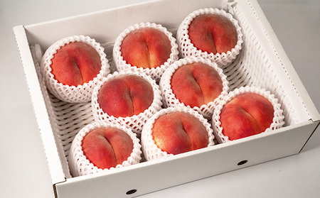 [ご家庭用]やまがたの桃 (白桃) 品種お任せ「柔らかくなる桃」9月 優品 約3kg(6～12玉程度) 【令和8年産先行予約】FS23-812 くだもの 果物 フルーツ 山形 山形県 山形市 2026