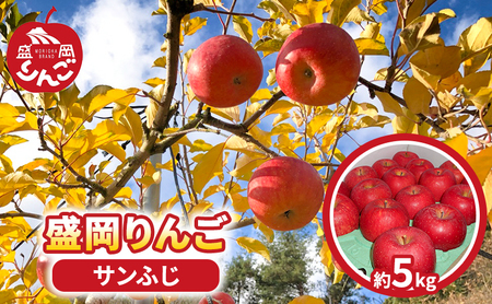 先行予約【12月発送】朝島観光りんご園 盛岡りんご「サンふじ」約5kg 果物類 フルーツ デザート 果汁 甘い 酸味 バランス 完熟 