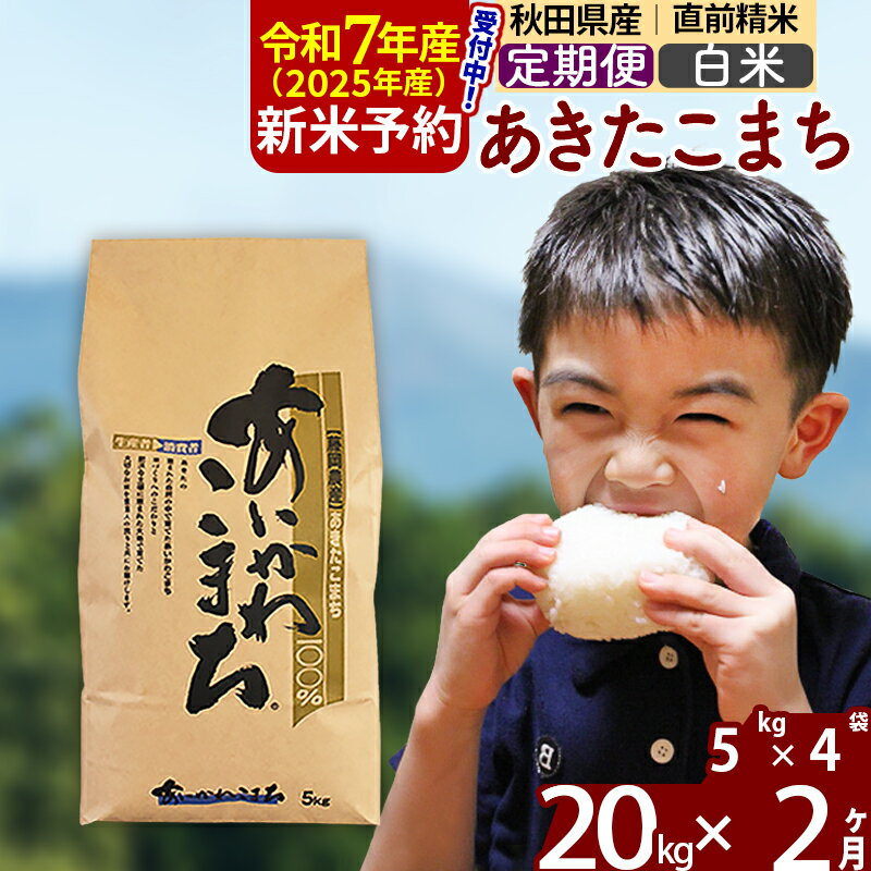 【ふるさと納税】※令和7年産 新米予約※《定期便2ヶ月》秋田県産 あきたこまち 20kg【白米】(5kg小分け袋) 2025年産 お届け周期調整可能 隔月に調整OK お米 藤岡農産