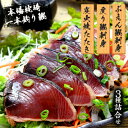 【ふるさと納税】枕崎産 一本釣り ぶえん鰹刺身・たたき・戻り鰹 詰め合わせ【タレ付】 A3-301【配送不可地域：離島】【1166704】