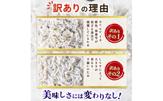 しらす 訳あり 計 600g 訳あり 冷凍 ちりめん 釜揚げしらす 減塩 釜揚げ ごはん 丼 パスタ チャーハン サラダ シラス sirasu しらすごはん シラス しらす しらす丼 shirasu 