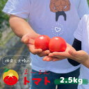 【ふるさと納税】【先行受付 2024年12月以降配送】熊野市産 仲良し夫婦の ま～るんトマト 2.5kg