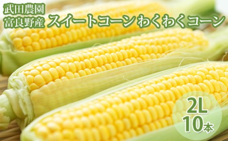 2026年夏発送 ［武田農園とれたて直送］スイートコーン わくわくコーン 2L 10本 みずみずしく抜群にあまい！北海道 富良野産 (とうもろこし 野菜 新鮮 とうきび 甘い 産地直送 先行予約 限定