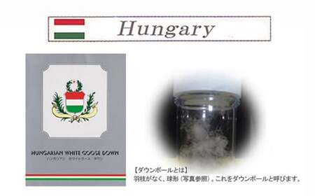 羽毛布団 掛布団 シングル（G-13）（ブルー系） ハンガリー産 ホワイトグースダウン 93％ ツインキルト2層式 抗菌 防臭