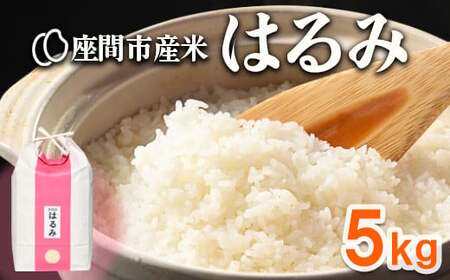 座間市産米　はるみ　5kg　※2024年10月中旬頃より順次発送予定 ※離島への配送不可