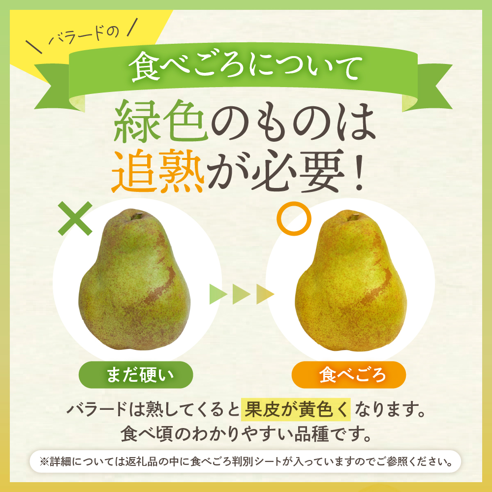 【令和7年産 先行予約】西洋梨バラード5kg 山形県 東根市 東根農産センター提供 hi027-190-1