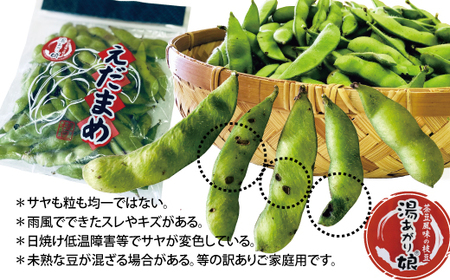 訳あり 枝豆 湯あがり娘 約1.6kg 家庭用 【2026年7月中旬より順次発送予定】 小分け 愛媛 伊予市｜B239
