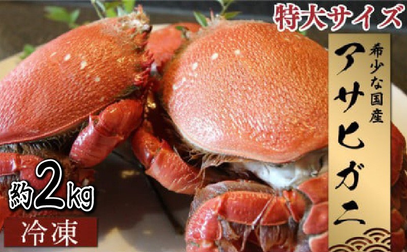 【先行予約】＜2026年11月より順次発送予定＞宮崎県串間市産 特大アサヒガニ2kg_K027-015-02