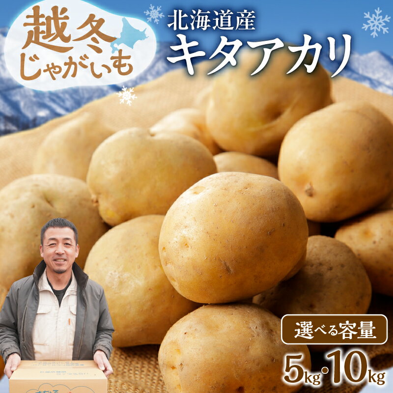 【ふるさと納税】【 選べる内容量！ 】 ホクホク あま～い！ 低温貯蔵！北海道産 越冬じゃがいも キタアカリ 約 5kg 約 10kg じゃがいも いも 芋 産地直送 越冬 じゃがバター 粉ふきいも ベークドポテト サラダ 肉じゃが ポタージュ ジャーマンポテト 北海道 清水町 送料無料