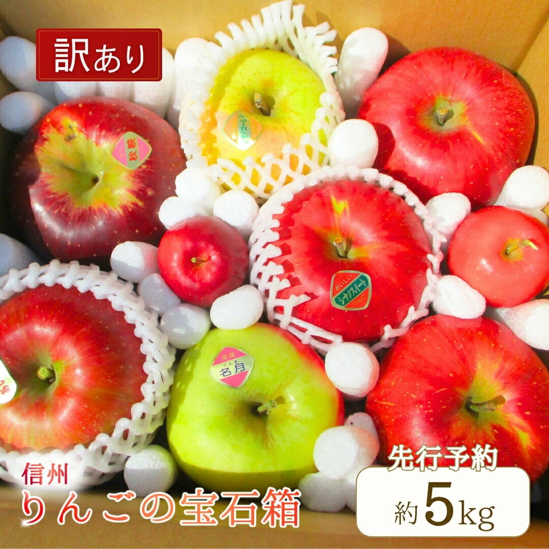 【ふるさと納税】訳あり りんご 園主におまかせ 詰合せ 計約5kg（10~18玉）りんごの宝石箱 | 産地直送 シナノスイート シナノゴールド 秋映 あいかの香り 群馬名月 王林 紅玉 シナノホッペ サンふじ 林檎 リンゴ アップル わけあり 訳アリ 千曲市 長野県 信州