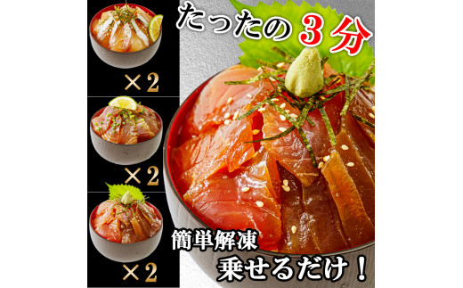 【12ヶ月 定期便】漬け丼 3種×2パック 計6食セット | 定期便 漬け丼 海鮮 惣菜 冷凍 真空パック 小分け 海鮮丼 海鮮セット 詰め合わせ 旬の鮮魚 ハマチ カンパチ カツオ 鯖 サバ ヒラマ