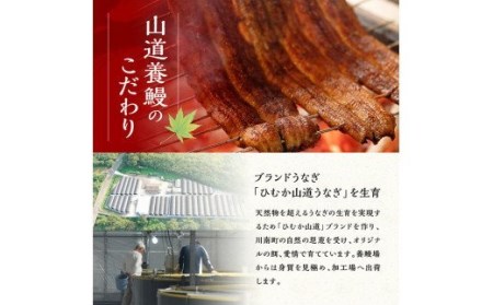 【名店の味！宮崎県産鰻】 ひむか山道うなぎ蒲焼２尾分と唐揚げ・肝焼のウナギセット うなぎ 蒲焼き