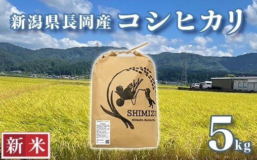 
                  N5-8S051新潟県長岡産コシヒカリ5kg
                