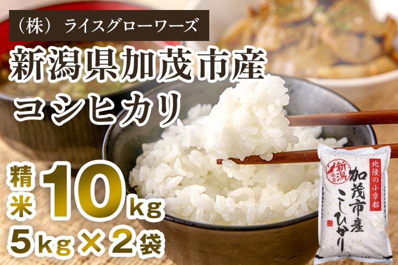
                  【令和7年産】新潟県加茂市産コシヒカリ 精米10kg（5kg×2）《順次出荷 》 白米 （株）ライスグローワーズ
                