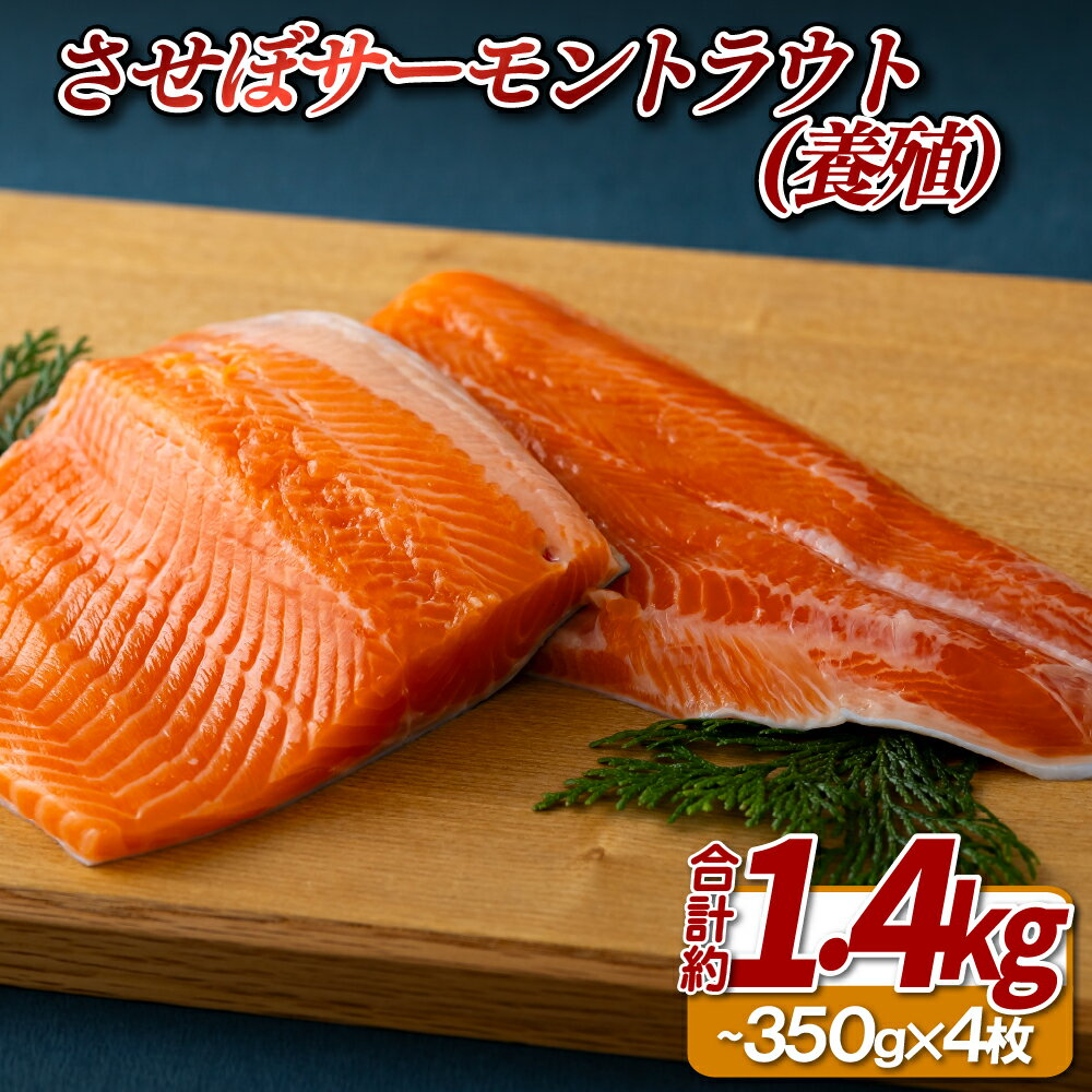 【ふるさと納税】させぼサーモントラウト(養殖)4枚