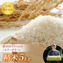 【ふるさと納税】令和6年産 減農薬・減化学肥料栽培 ミルキークイーン 精米 5kg 米 お米 おこめ ご飯 ごはん 福島県 西会津町 F4D-0295