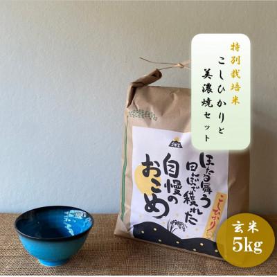 ふるさと納税 多治見市 【令和7年産:玄米】特別栽培米コシヒカリ(5kg)+【美濃焼】青輝貫入茶碗