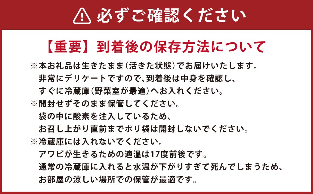 活蝦夷黒アワビ5個