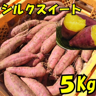 さつまいも(シルクスイート5kg)【1597491】