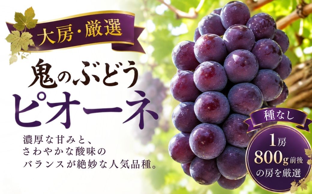 
                  【鬼のぶどう】ピオーネ大房 1房 (8月13日～9月15日の間に順次発送予定) | ピオーネぶどう ピオーネ大粒 ピオーネブドウ ピオーネ葡萄 ぶどう ブドウ ぶどうピオーネ 豊後高田市
                