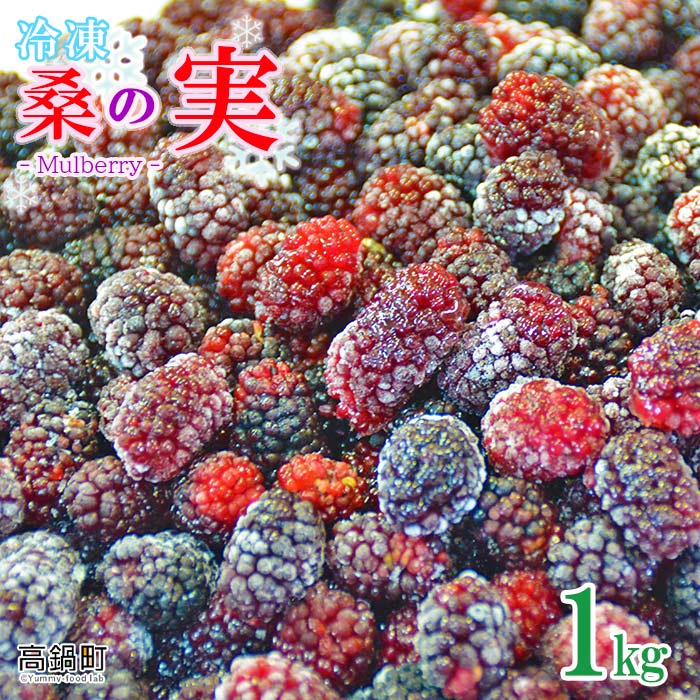 【ふるさと納税】＜桑の実（冷凍） 1kg＞ マルベリー 桑 スーパーフード ※入金確認後、翌月末迄に順次出荷します。 水町おかずの店 宮崎県 特産品 高鍋町【冷凍】