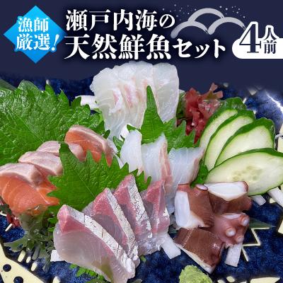 ふるさと納税 上島町 【1日1件限定】漁師厳選 瀬戸内海の天然鮮魚セット(約4人前) お刺身、切り身、アラ等　真空パック