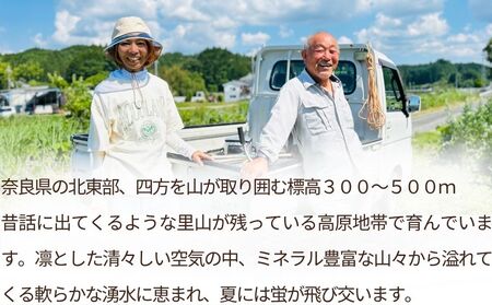【定期便6回】自然栽培米 玄米 ＜令和7年産 3kg＞ ／ ふるさと納税 無農薬 米 お米 一等米 こめ コメ 国産 新米 玄米 農家やまおか 奈良県 宇陀市 農家山岡
