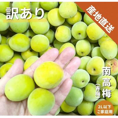 ふるさと納税 紀の川市 【訳あり】南高梅 (青梅) 2L以下 約4kg