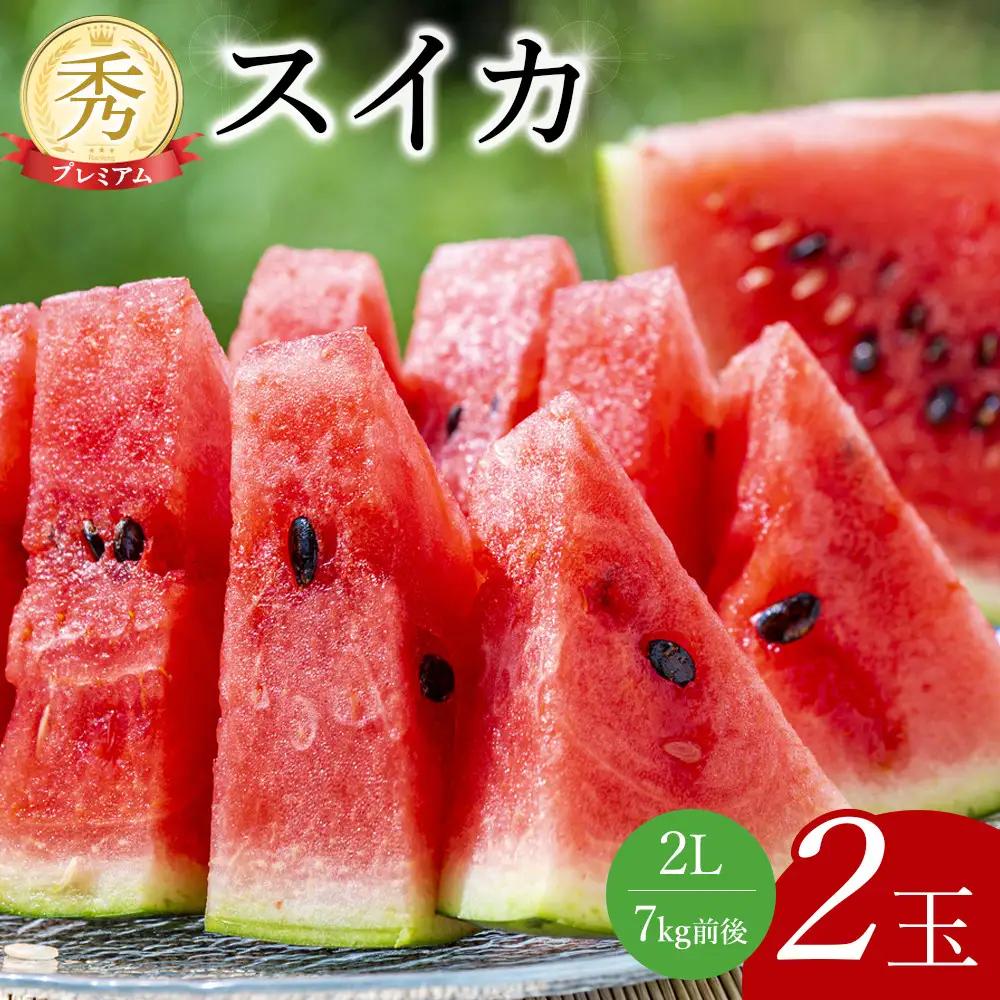 【2027年産先行予約】プレミアムスイカ 2L×2玉  ※2027年5月下旬～8月上旬頃に順次発送予定 ※着日指定不可（こちらの返礼品は、大栄西瓜ではありません） スイカ