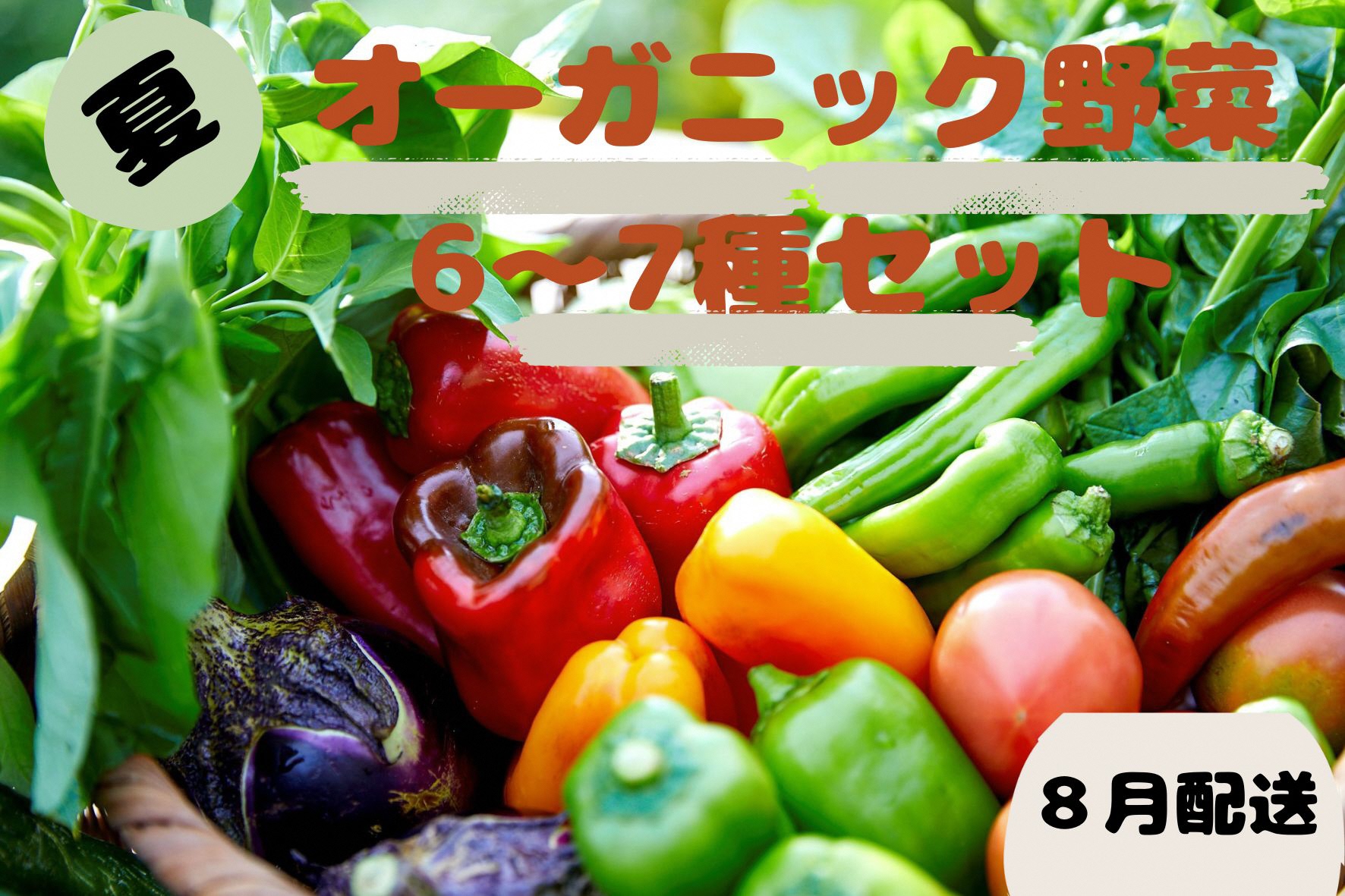 【先行予約：8月配送】＜てんとうむしばたけ＞夏のオーガニック野菜セット　有機野菜6～7種前後