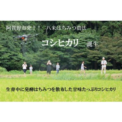 ふるさと納税 阿賀野市 【令和8年産新米先行受付】9ヶ月定期便 八米 はちみつ農法 コシヒカリ 無洗米 5kg×9回 |  | 01