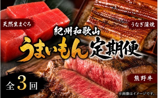 
                  【3回定期便】【毎月お届け】まぐろ・うなぎ・和牛を楽しむ贅沢定期便A / 鮪 マグロ 刺身 鰻 ウナギ 蒲焼 熊野牛 肉 牛肉 和牛 黒毛和牛 ヒレ ロース シャトーブリアン ステーキ スライス【tkb386】
                