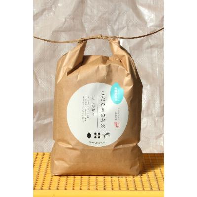 ふるさと納税 能美市 【令和7年産】石川県産コシヒカリ白米5kg×1袋海ミネラル米